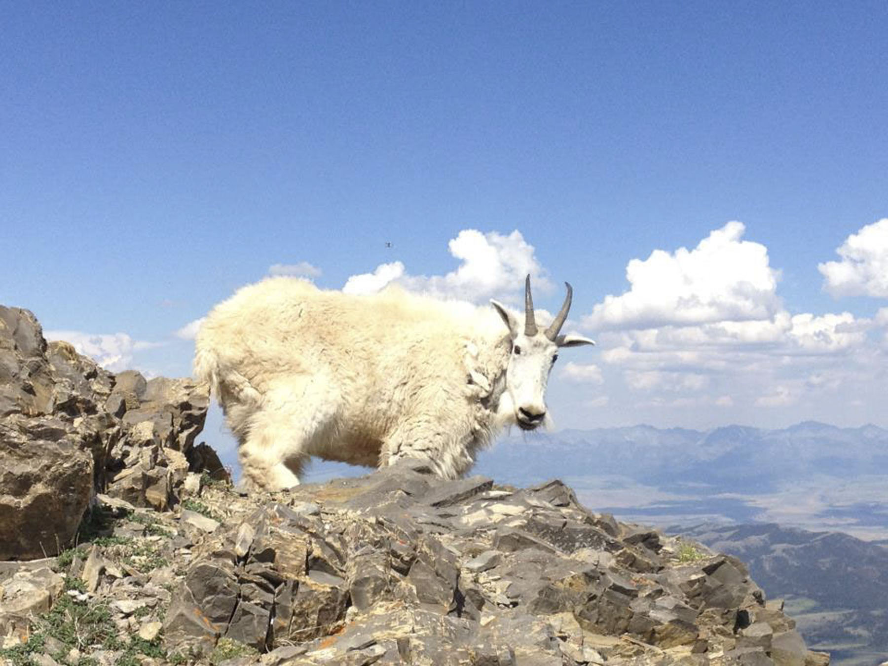 Bridger Peaks Ranch property picture 8 of 22