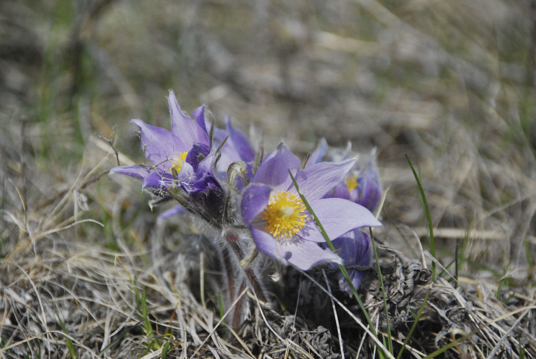 Bridger Peaks Ranch property picture 22 of 22