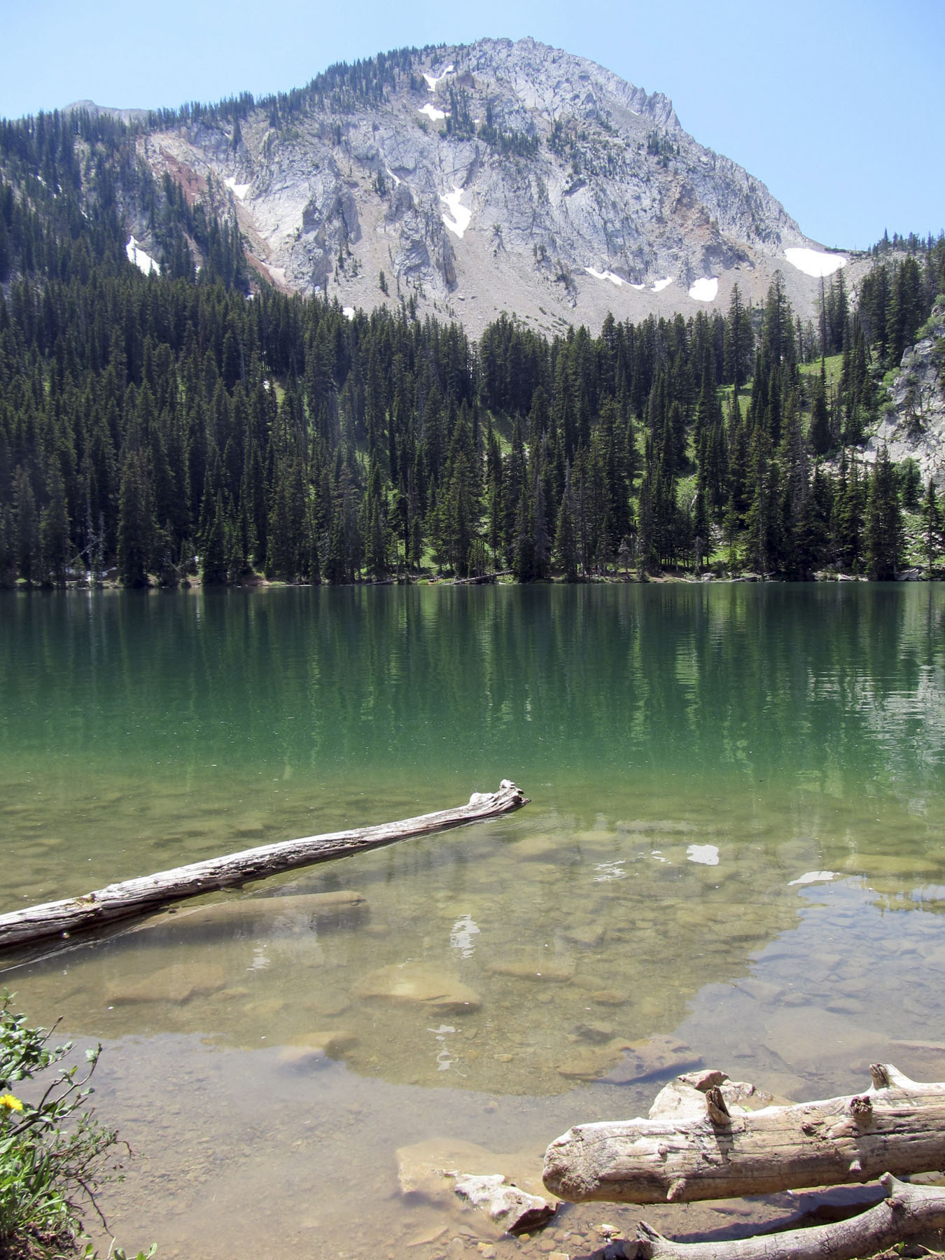 Bridger Peaks Ranch property picture 12 of 22