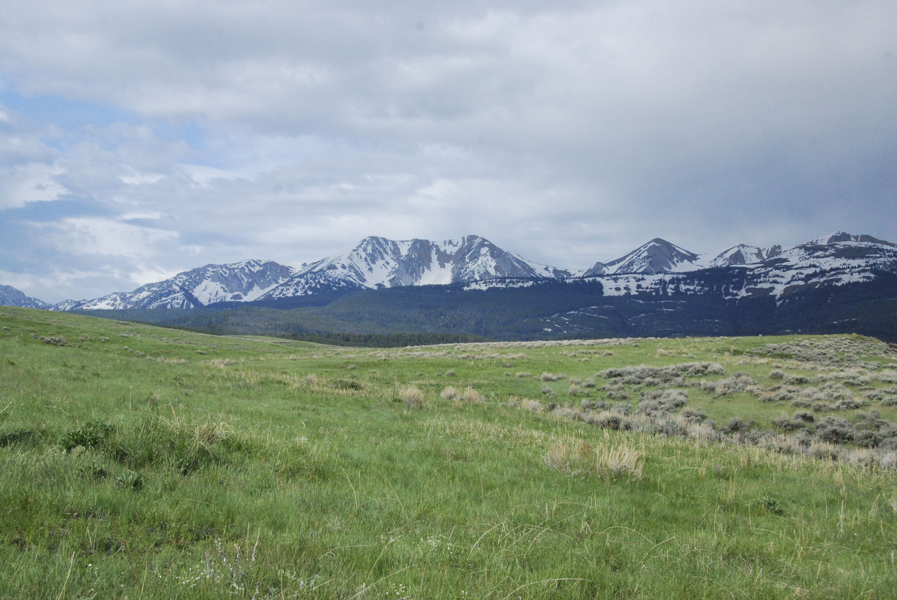 Bridger Peaks Ranch property picture 13 of 22