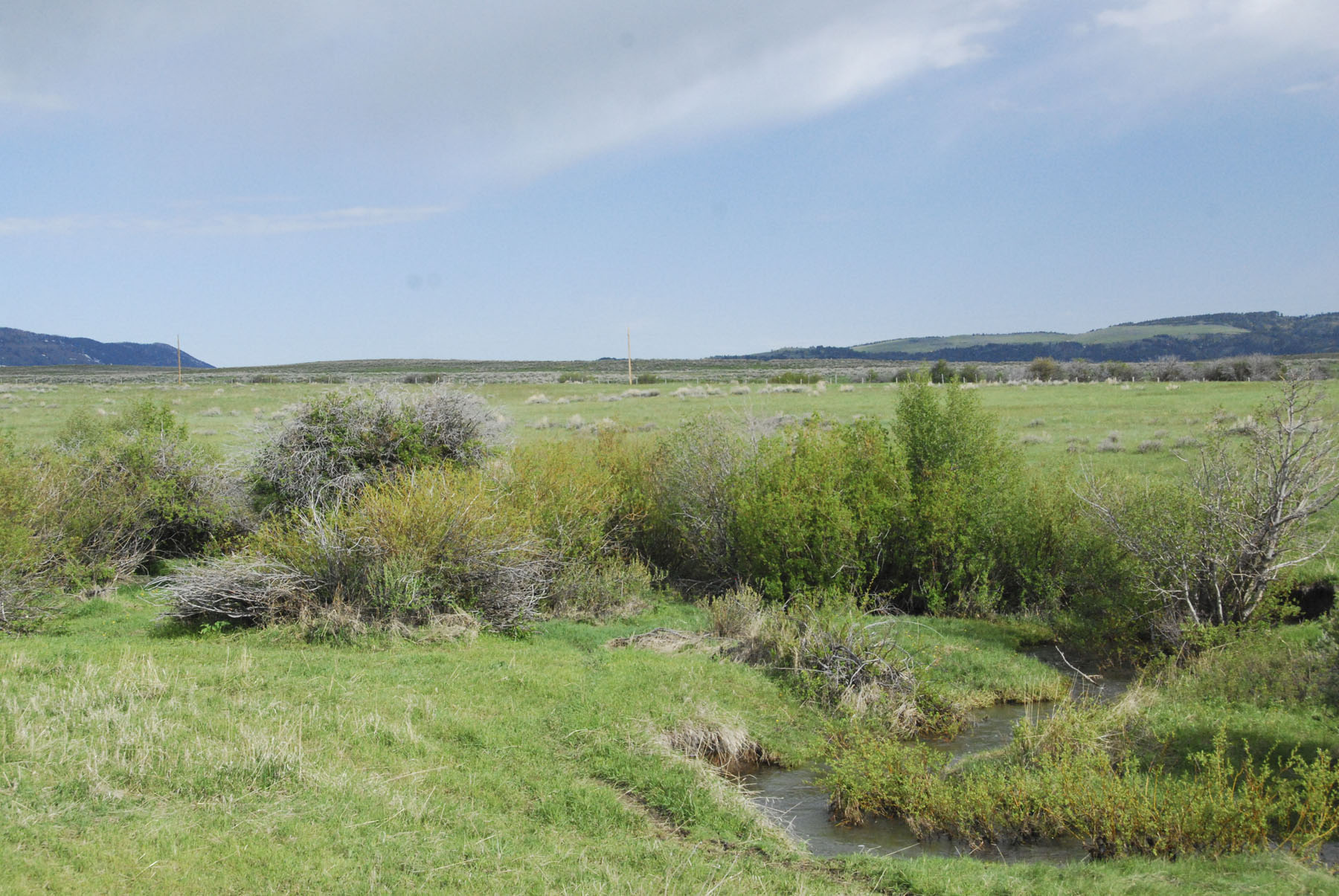 Bridger Peaks Ranch property picture 6 of 22