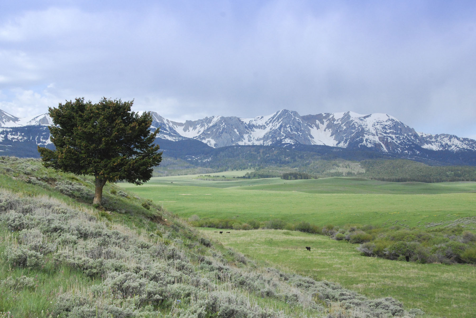 Bridger Peaks Ranch property picture 17 of 22