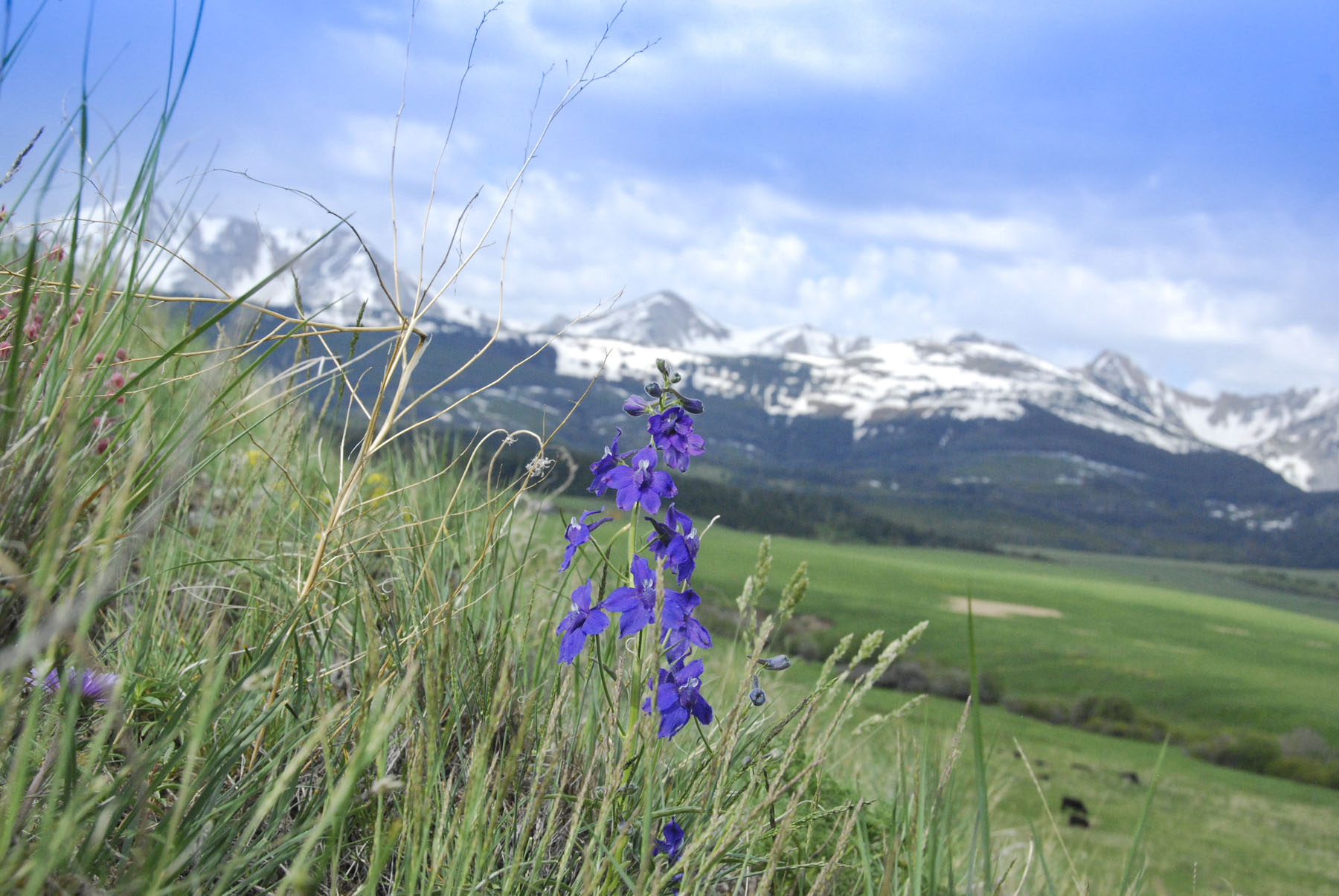 Bridger Peaks Ranch property picture 18 of 22