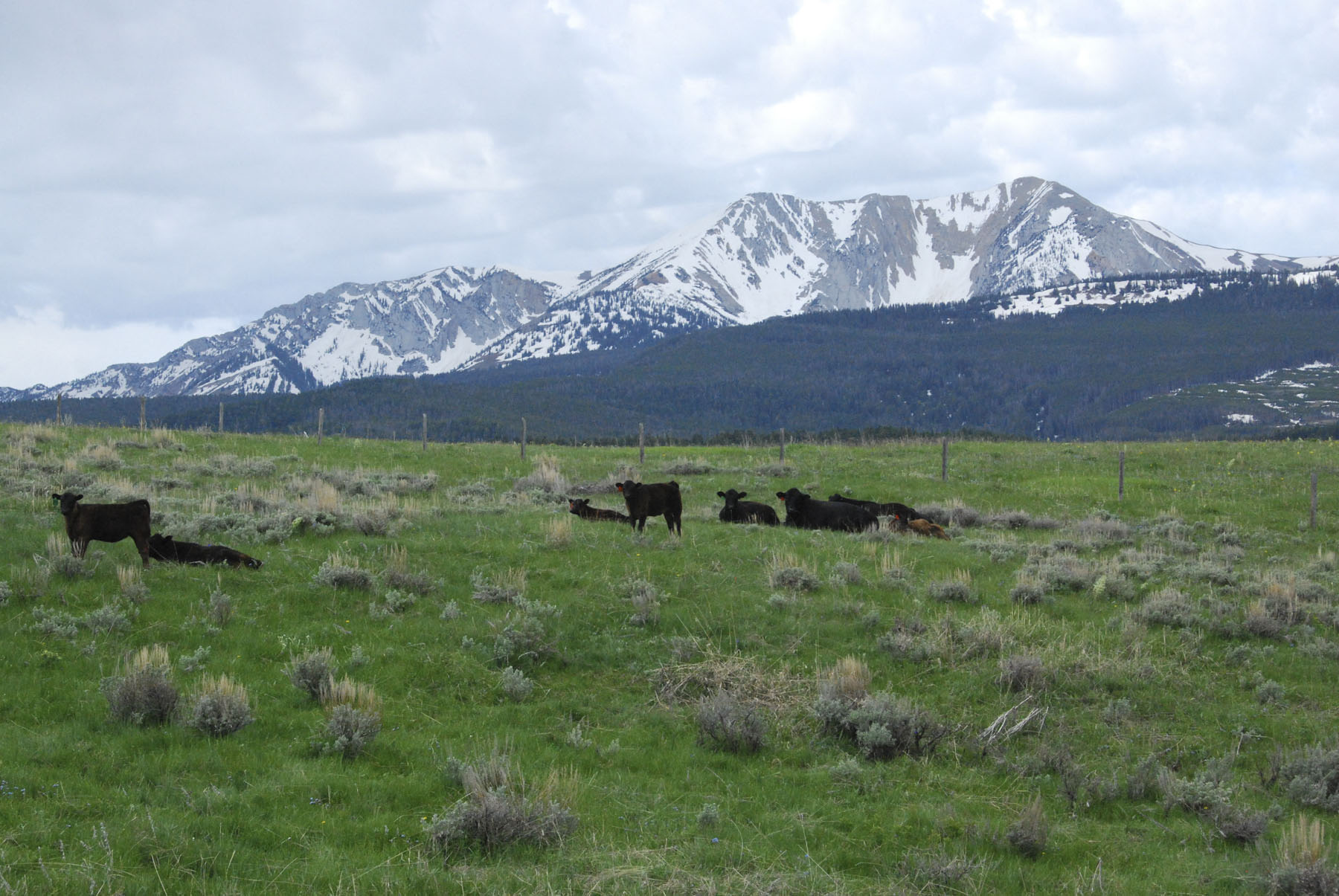 Bridger Peaks Ranch property picture 10 of 22