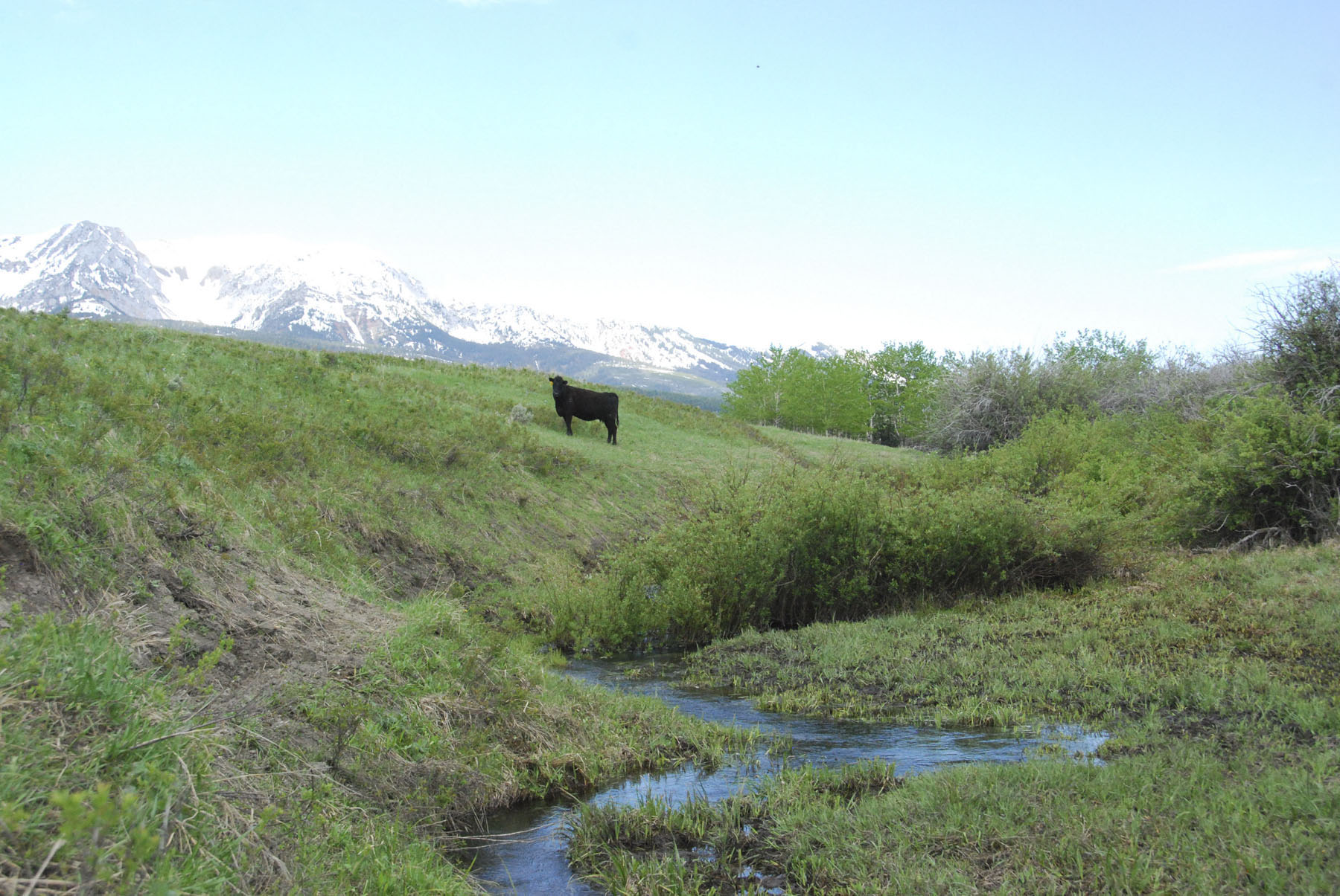 Bridger Peaks Ranch property picture 21 of 22