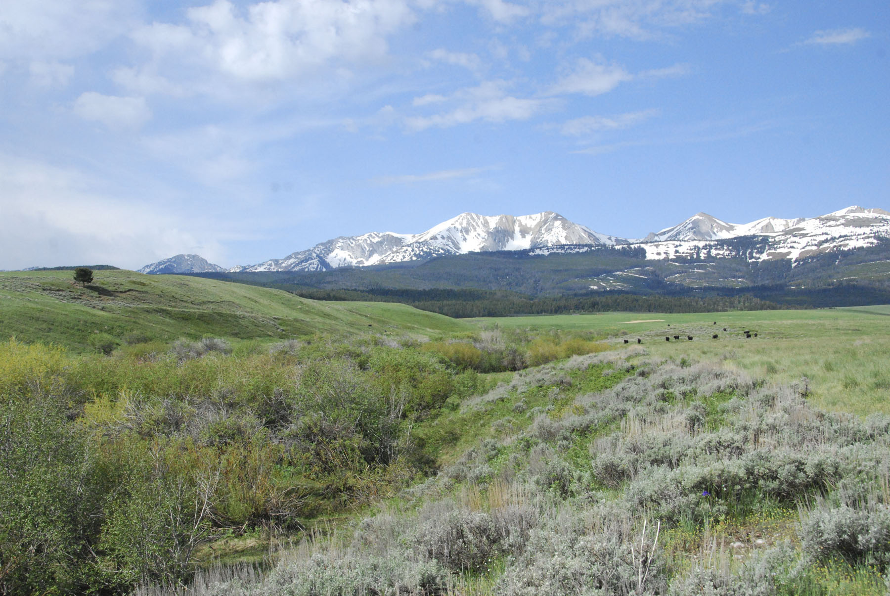 Bridger Peaks Ranch property picture 15 of 22
