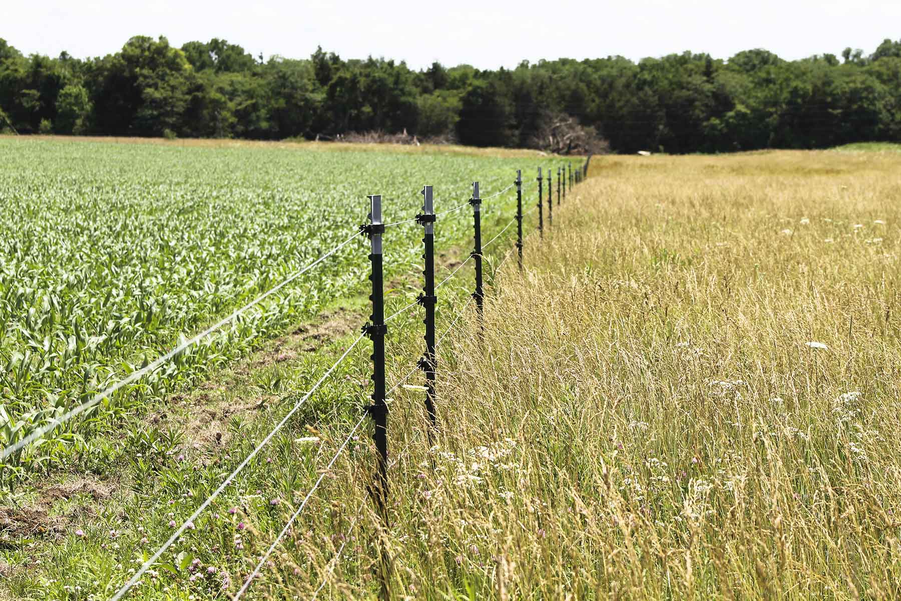 Hickory Cattle Company property picture 8 of 55