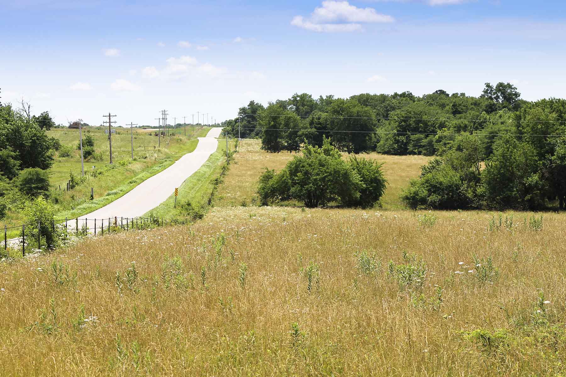 Hickory Cattle Company property picture 32 of 55