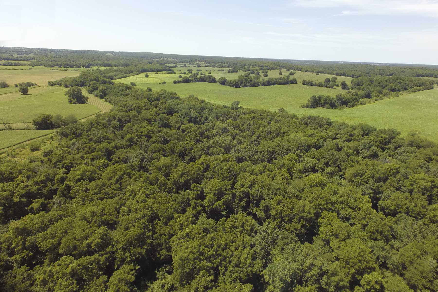 Hickory Cattle Company property picture 25 of 55