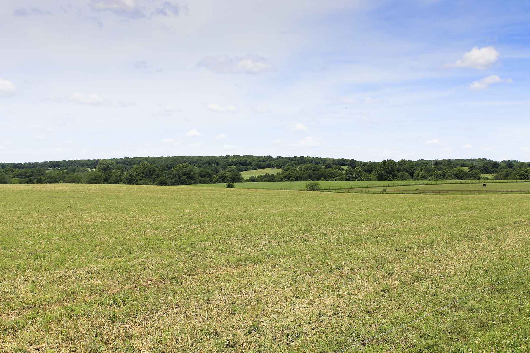 Hickory Cattle Company property picture 23 of 55