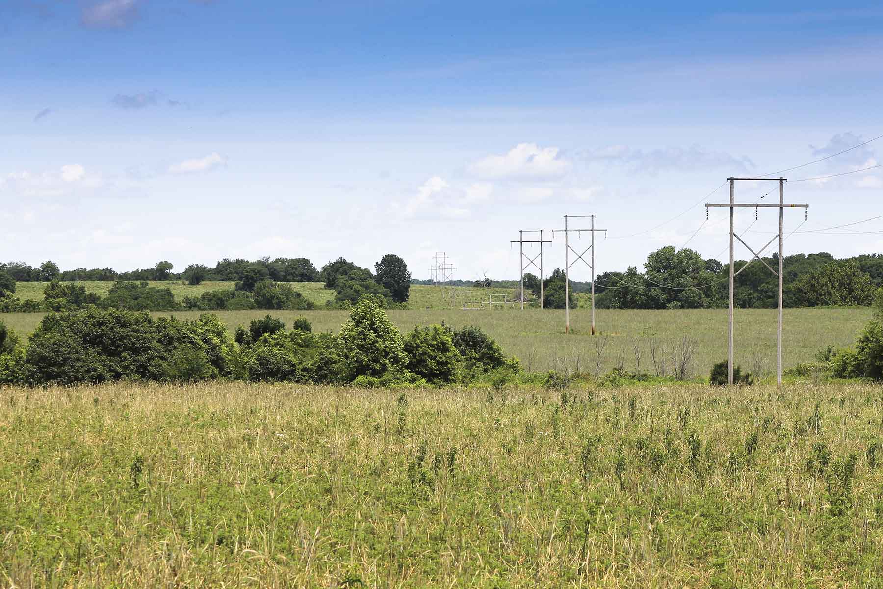 Hickory Cattle Company property picture 22 of 55