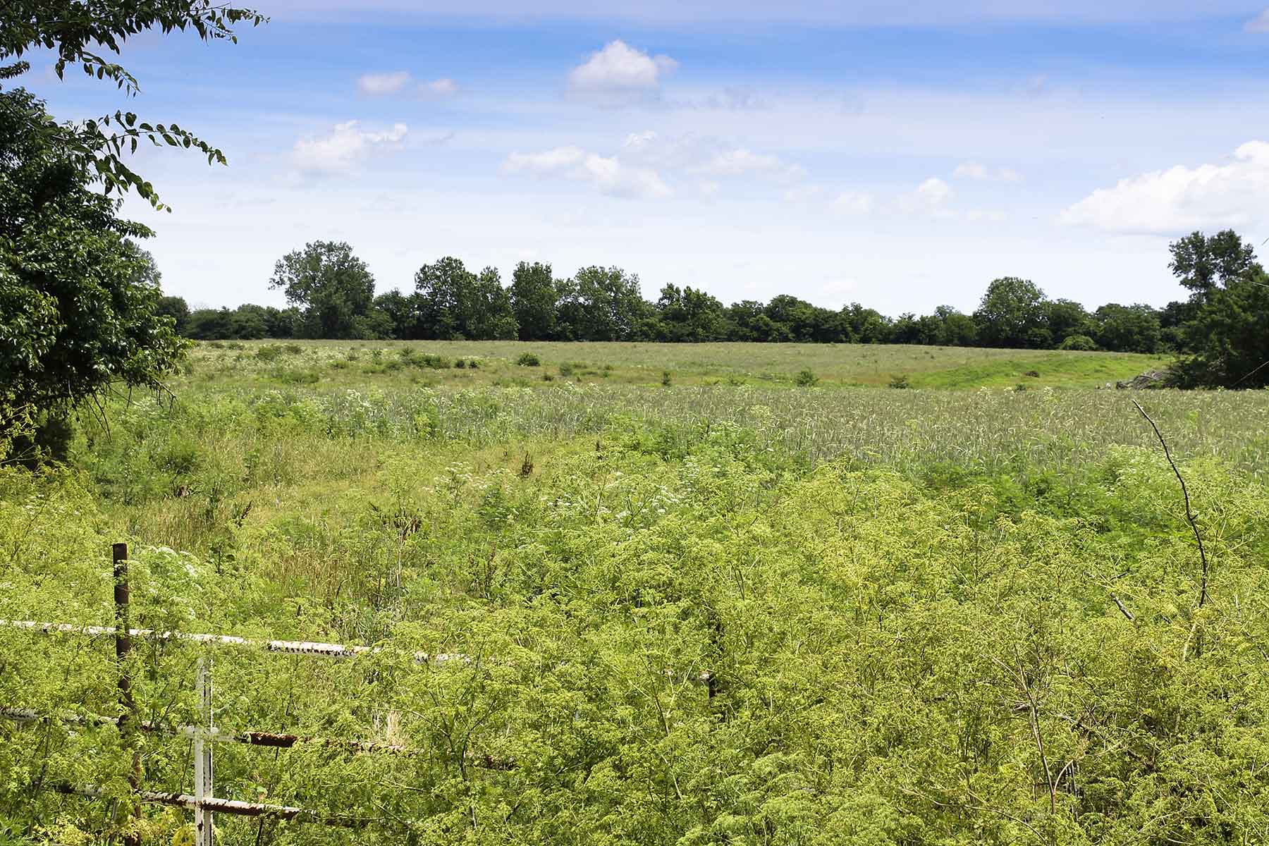 Hickory Cattle Company property picture 21 of 55