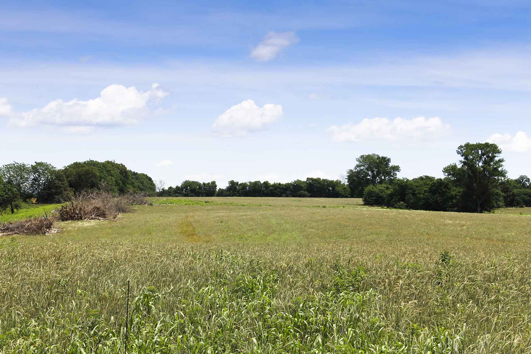 Hickory Cattle Company property picture 20 of 55