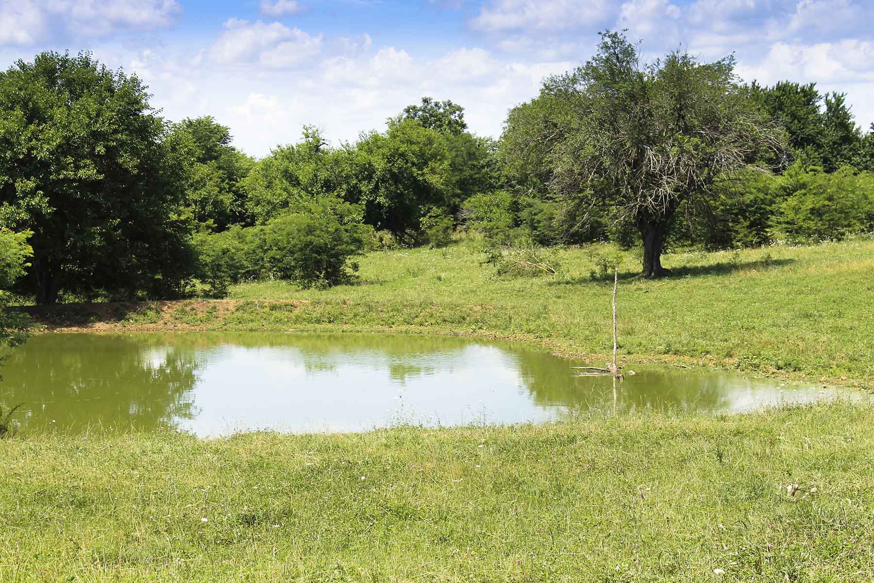 Hickory Cattle Company property picture 16 of 55