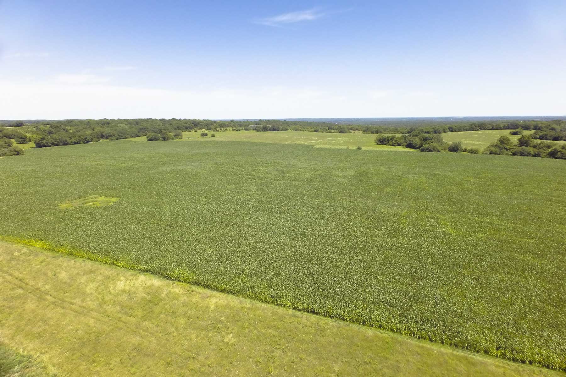 Hickory Cattle Company property picture 13 of 55