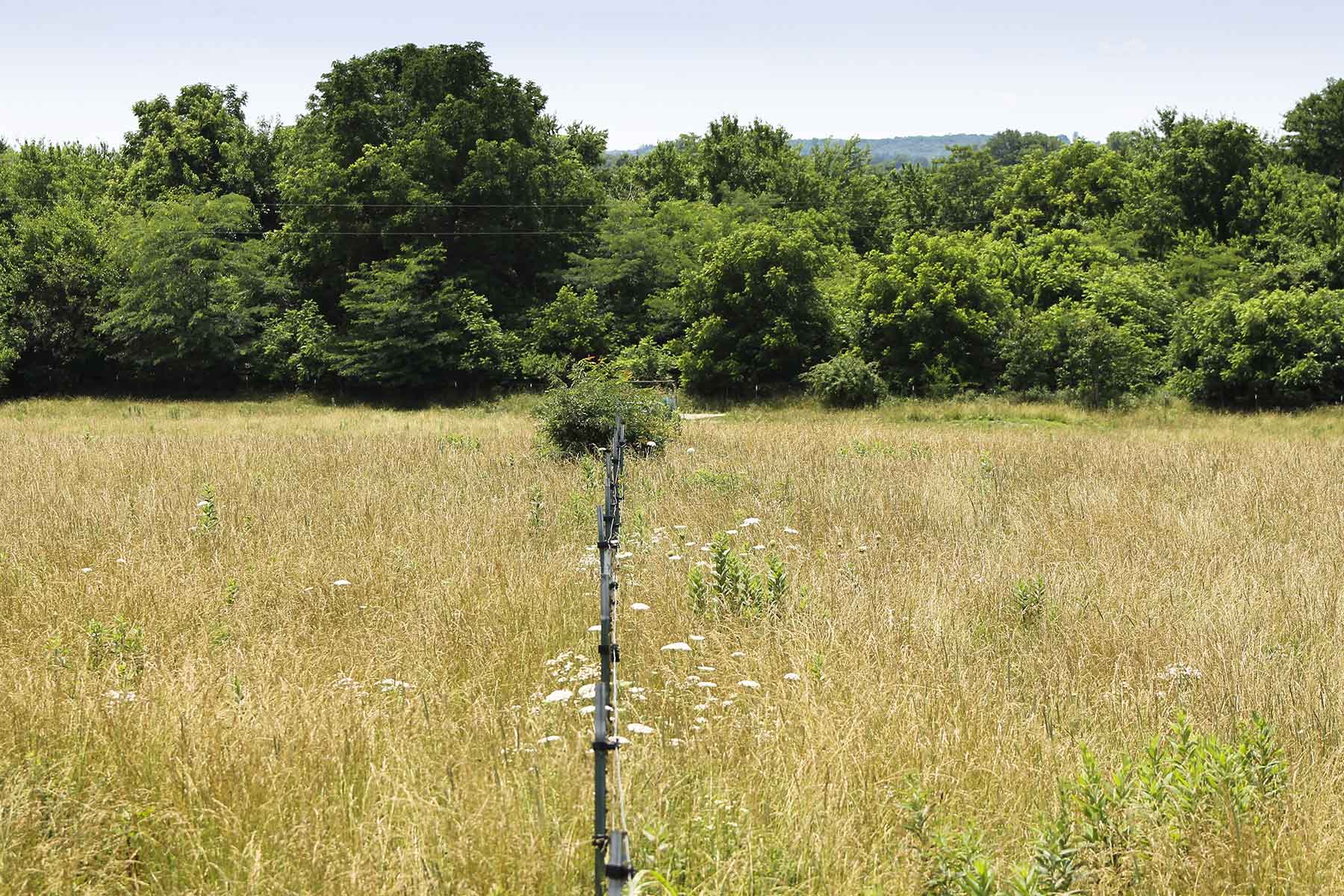 Hickory Cattle Company property picture 41 of 55