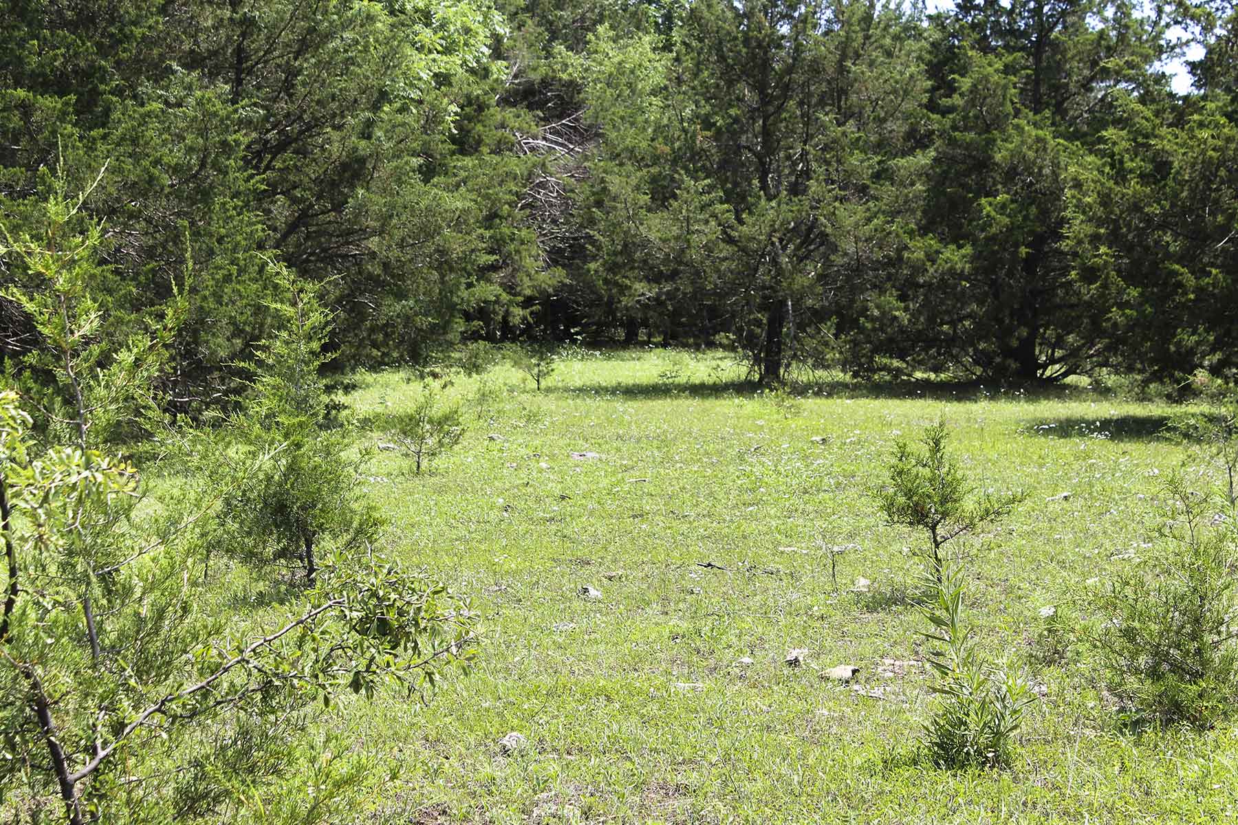 Hickory Cattle Company property picture 42 of 55