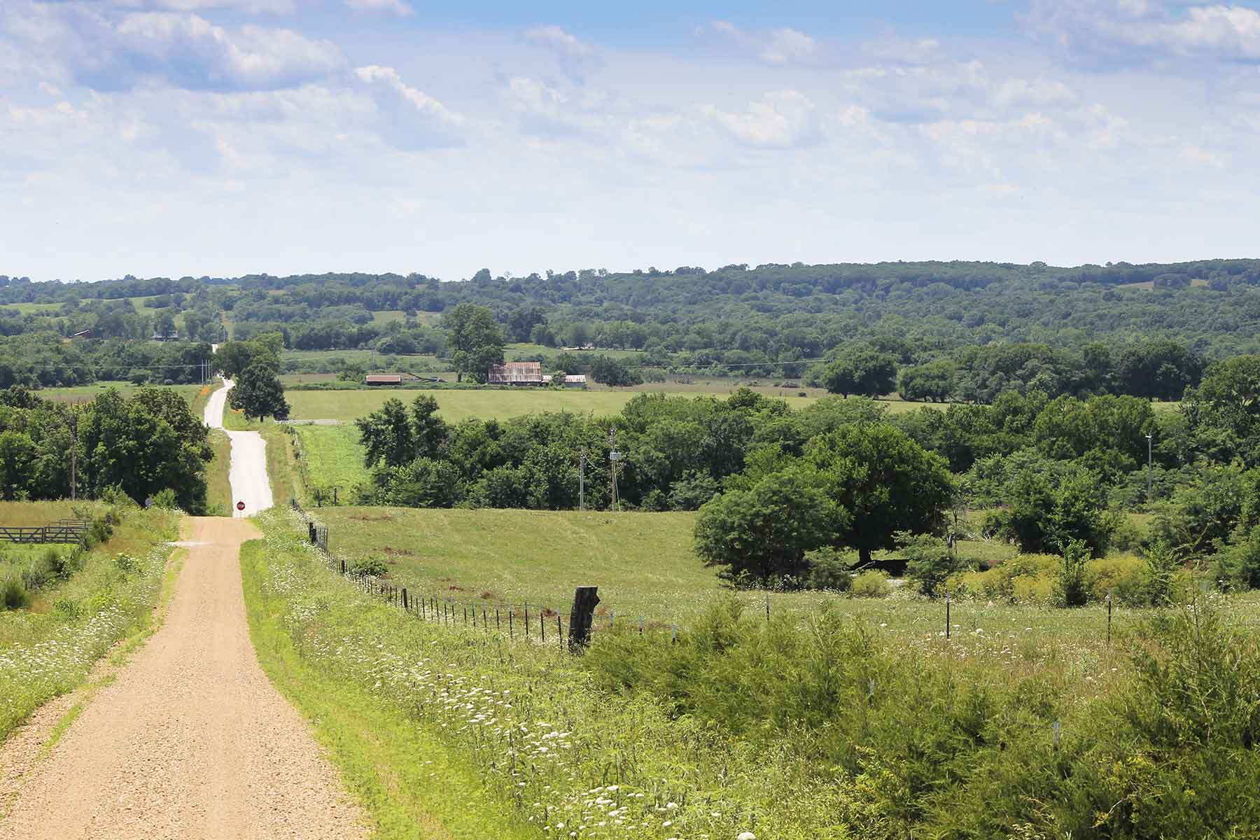 Hickory Cattle Company property picture 43 of 55