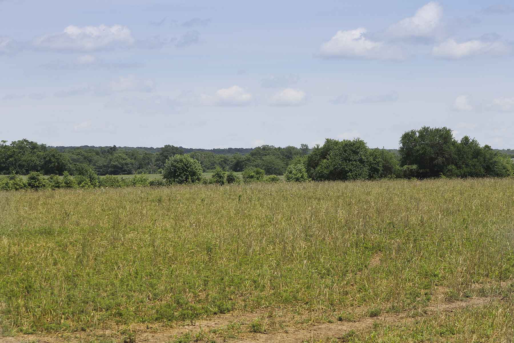 Hickory Cattle Company property picture 51 of 55