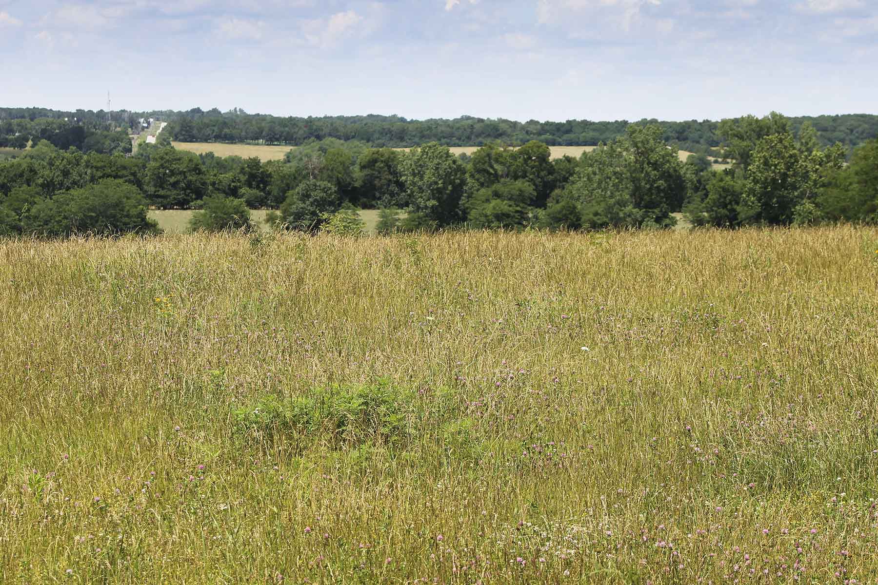 Hickory Cattle Company property picture 48 of 55