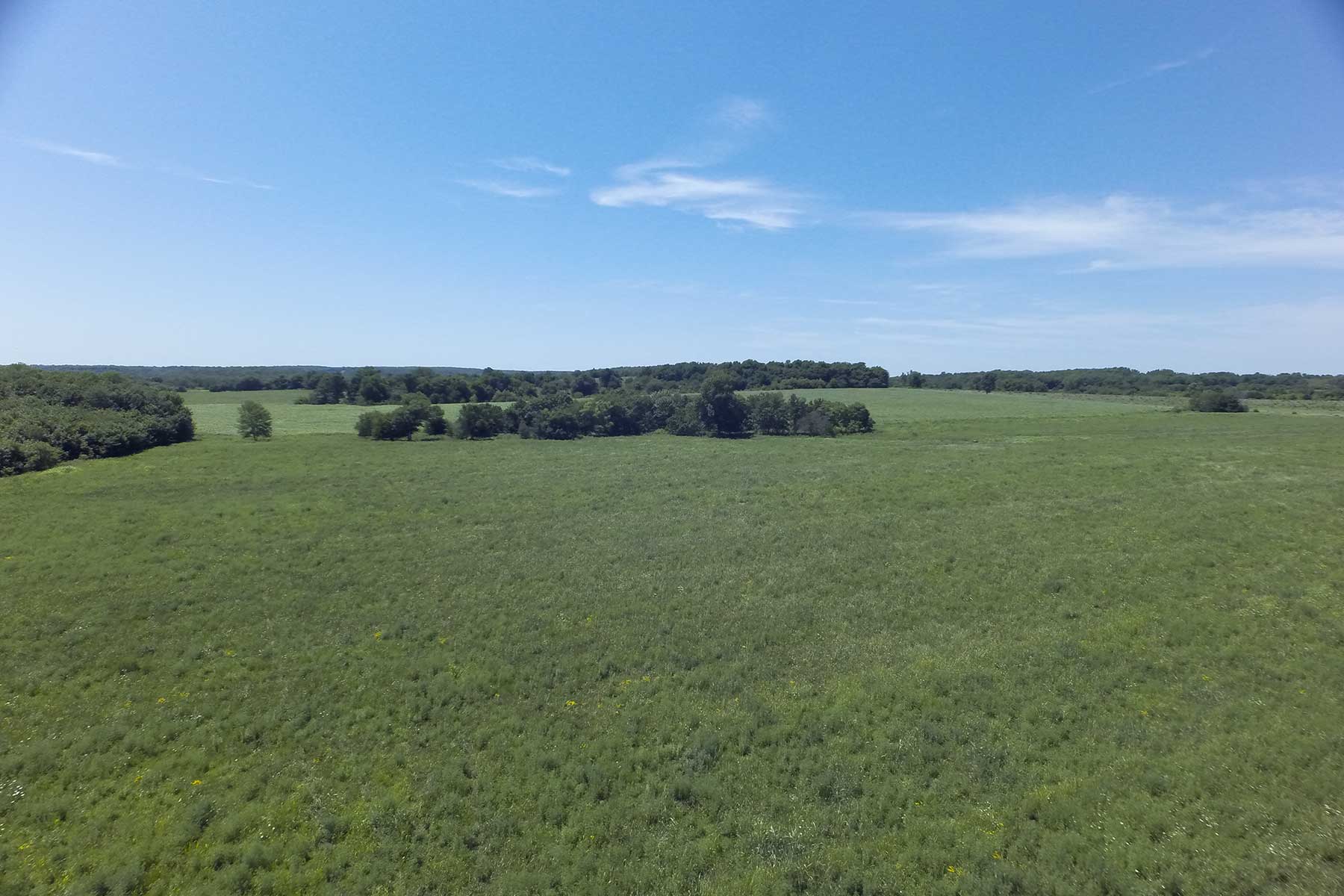 Hickory Cattle Company property picture 47 of 55