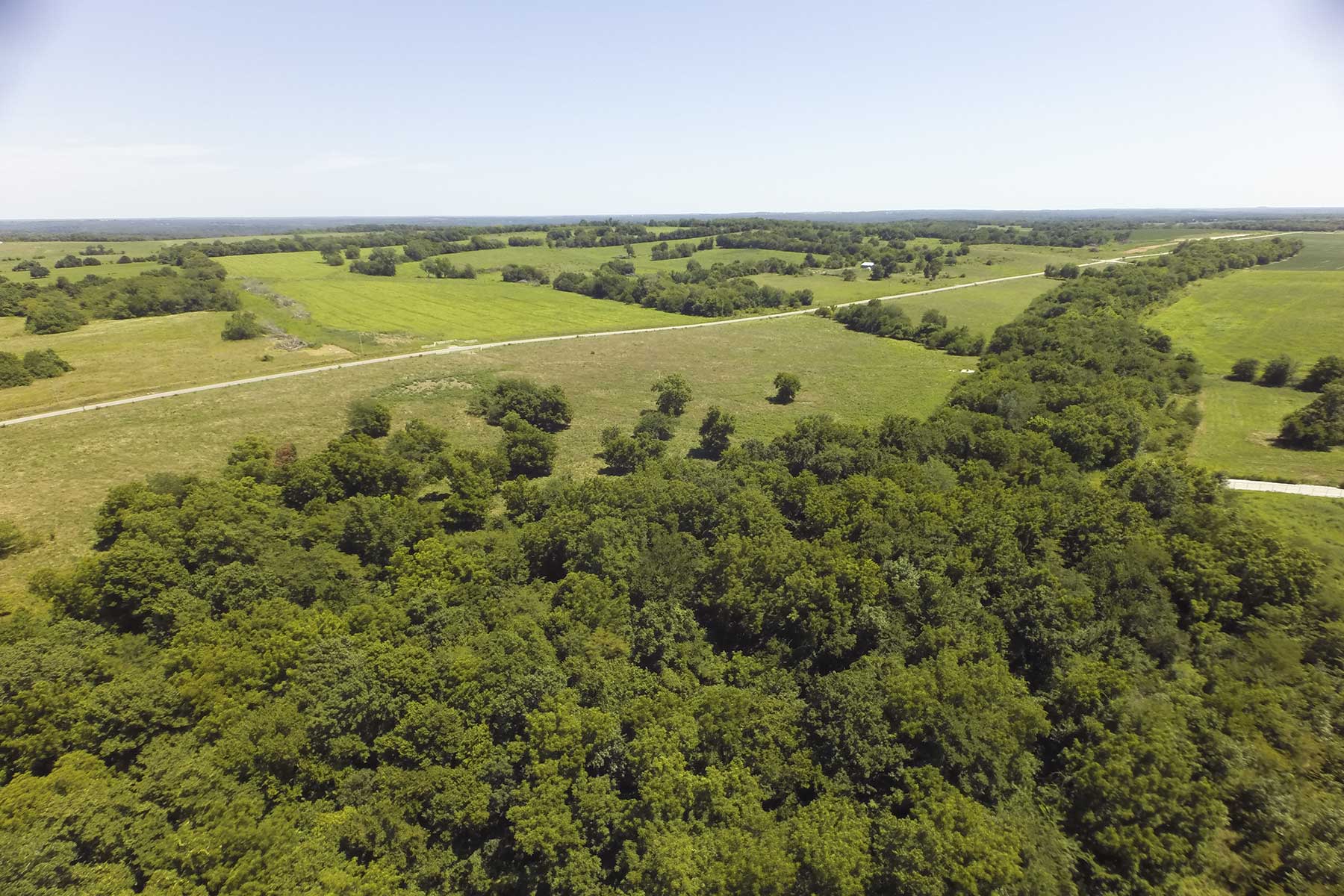 Hickory Cattle Company property picture 46 of 55