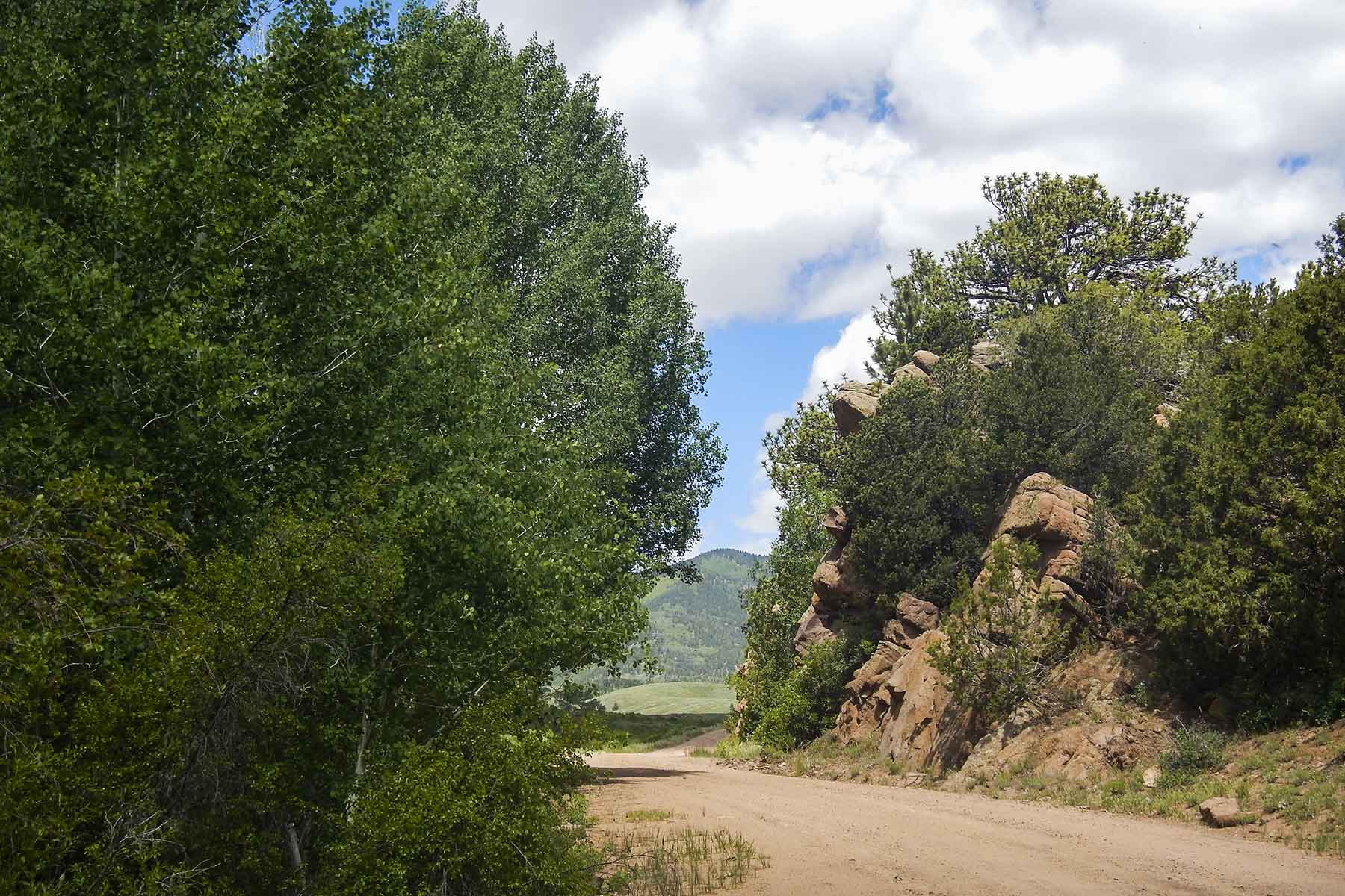 Mosca Pass Ranch property picture 58 of 84