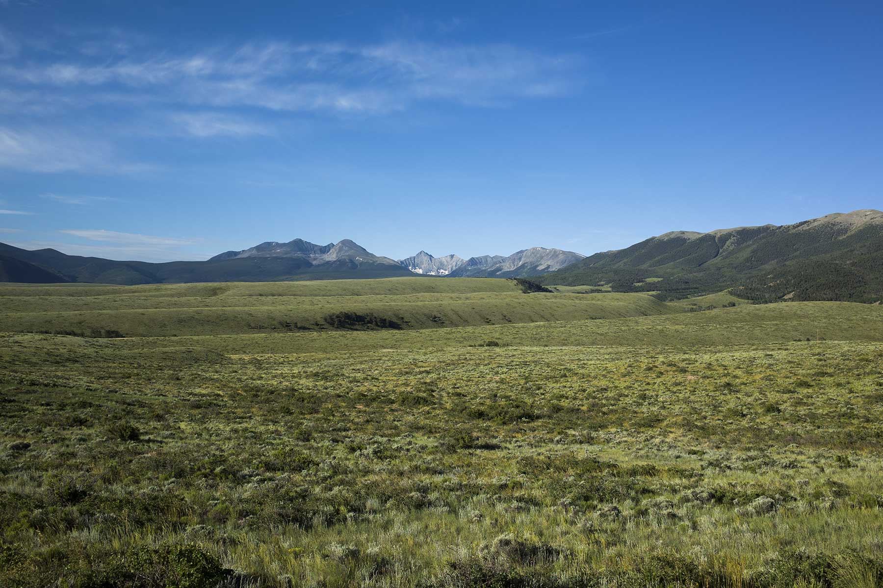 Mosca Pass Ranch property picture 24 of 84