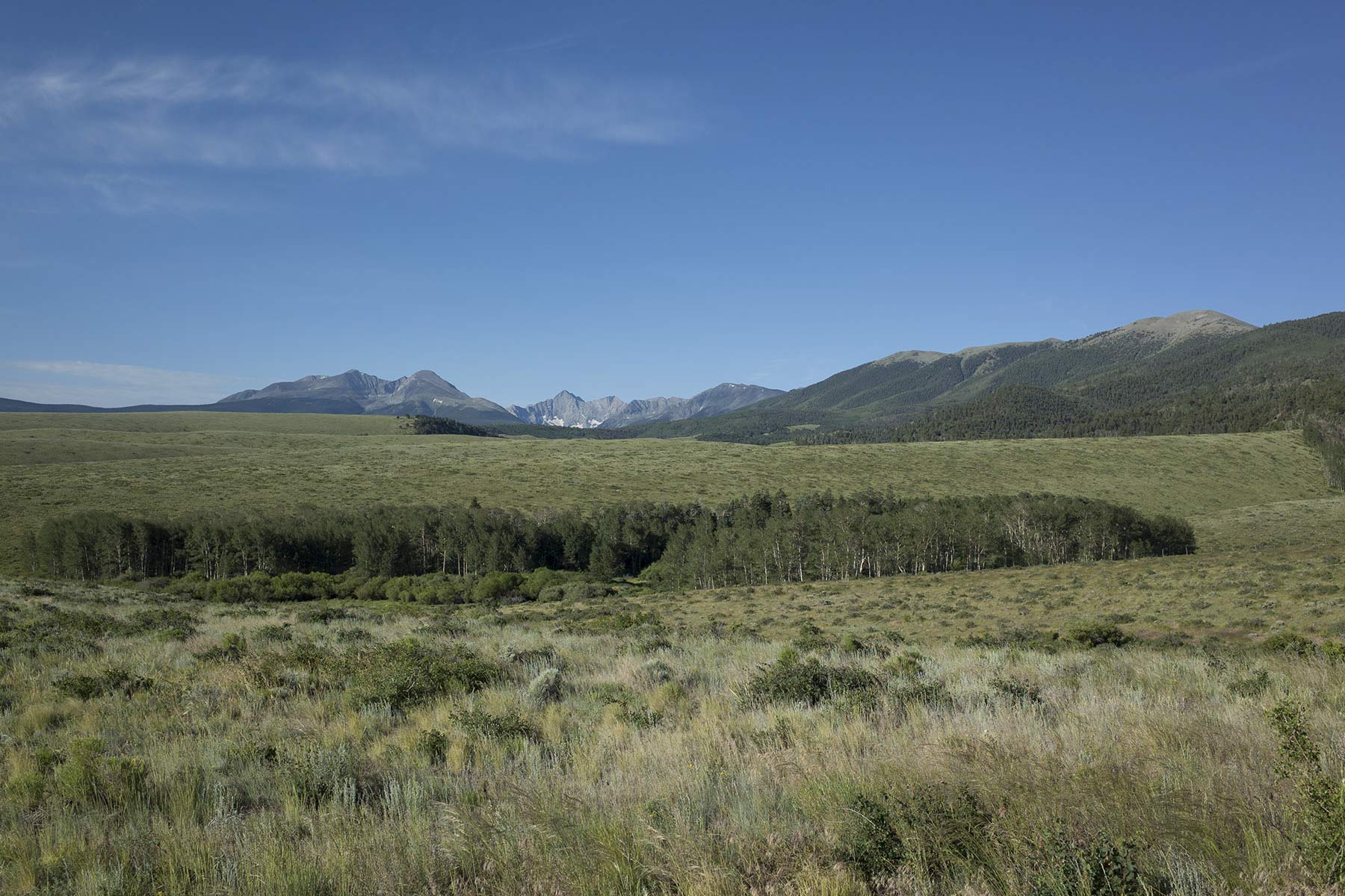 Mosca Pass Ranch property picture 40 of 84