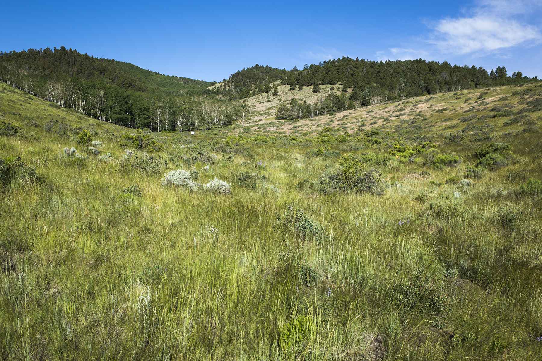 Mosca Pass Ranch property picture 61 of 84