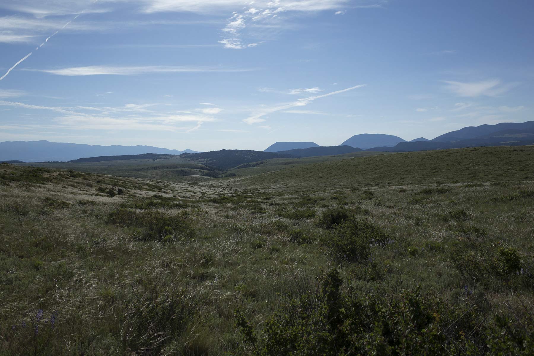 Mosca Pass Ranch property picture 27 of 84