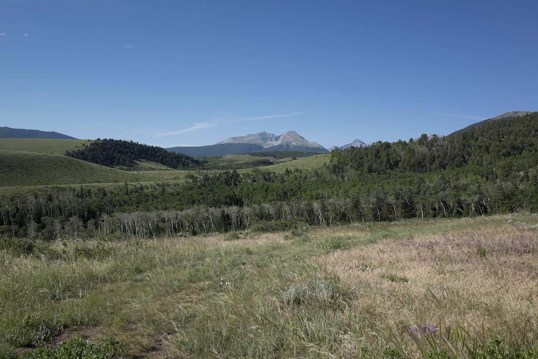Mosca Pass Ranch property picture 22 of 84