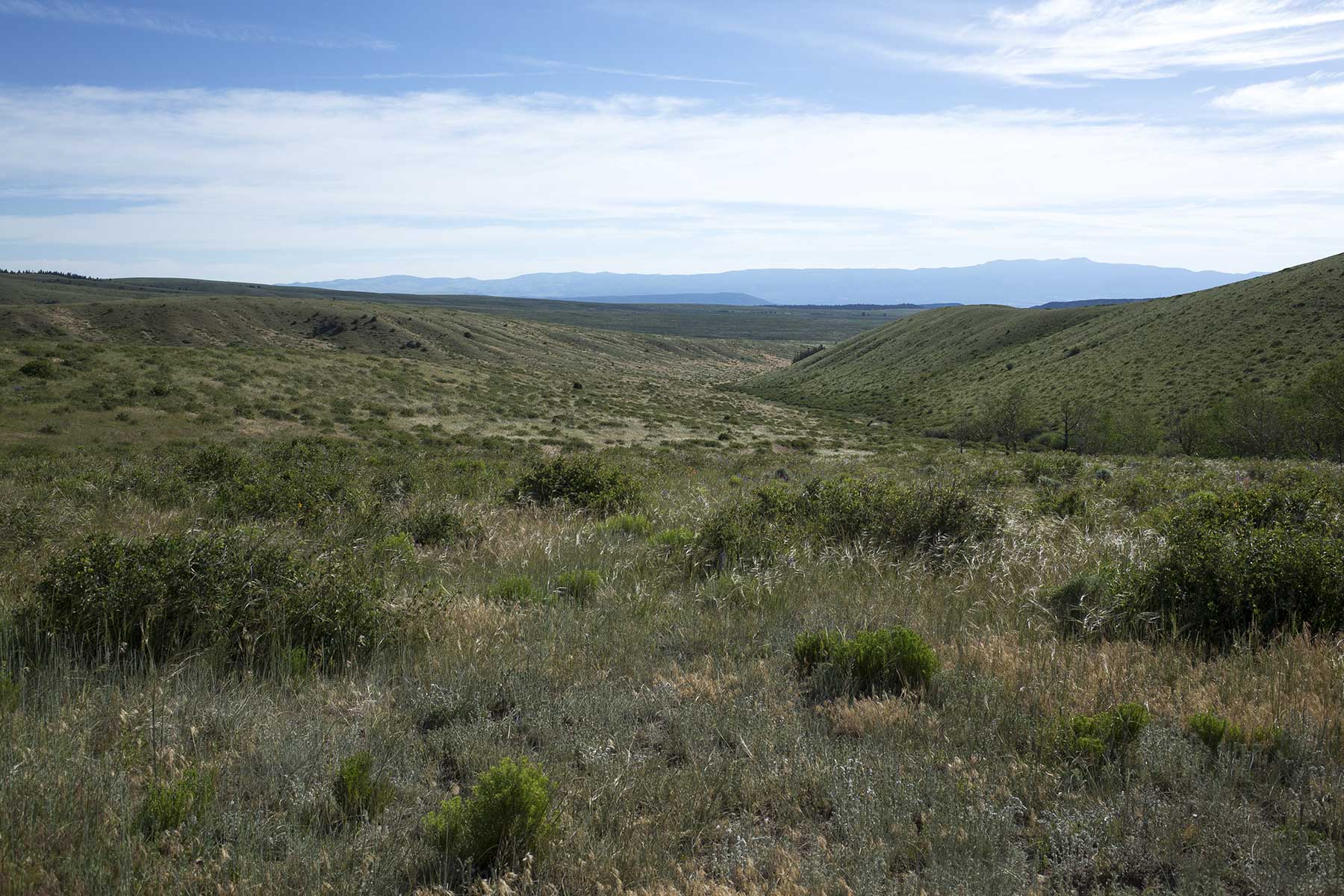Mosca Pass Ranch property picture 38 of 84