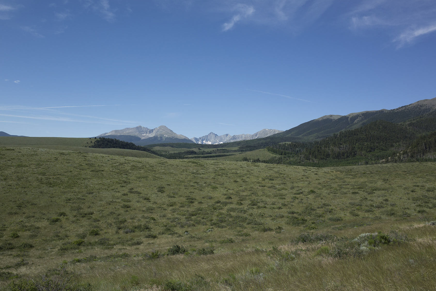 Mosca Pass Ranch property picture 23 of 84