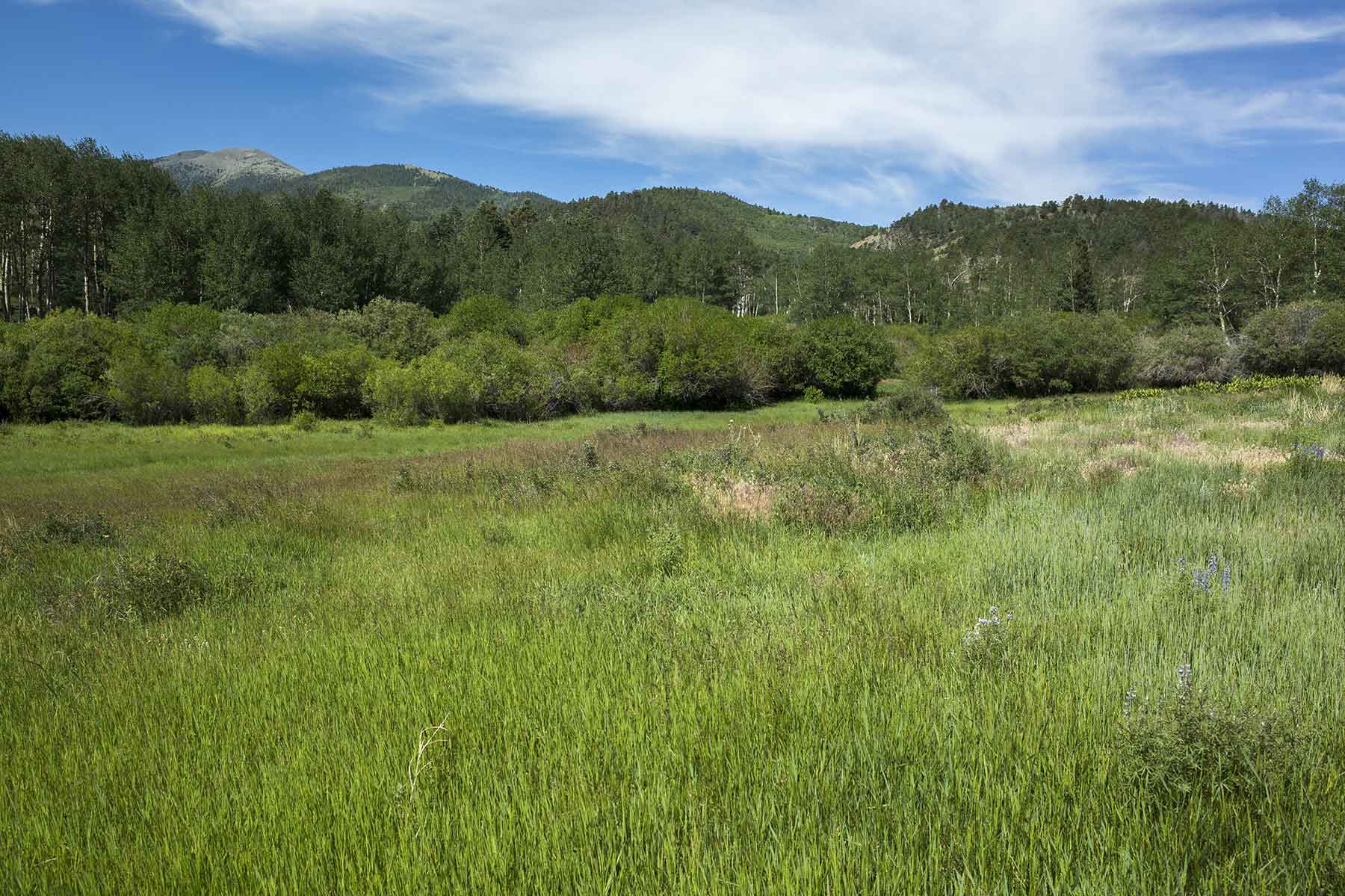 Mosca Pass Ranch property picture 29 of 84