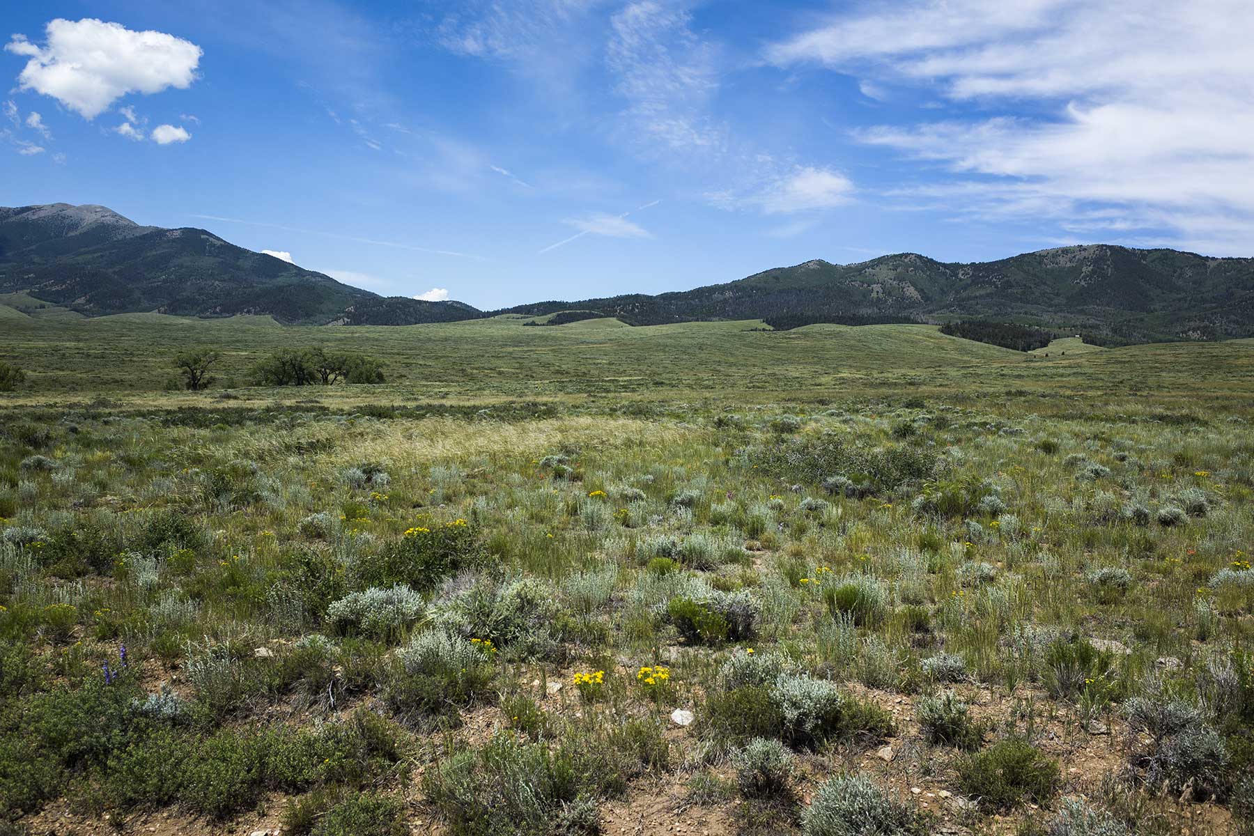 Mosca Pass Ranch property picture 79 of 84