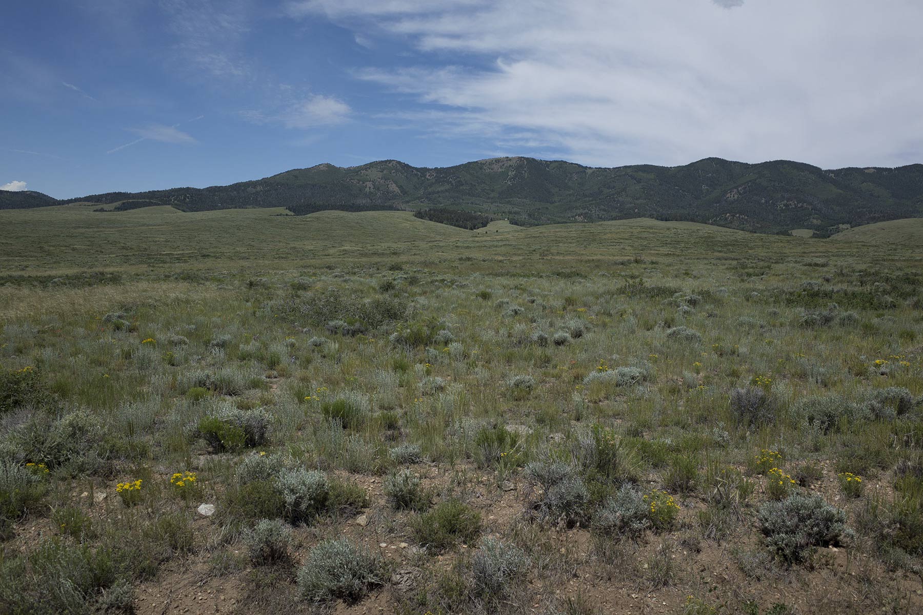 Mosca Pass Ranch property picture 30 of 84