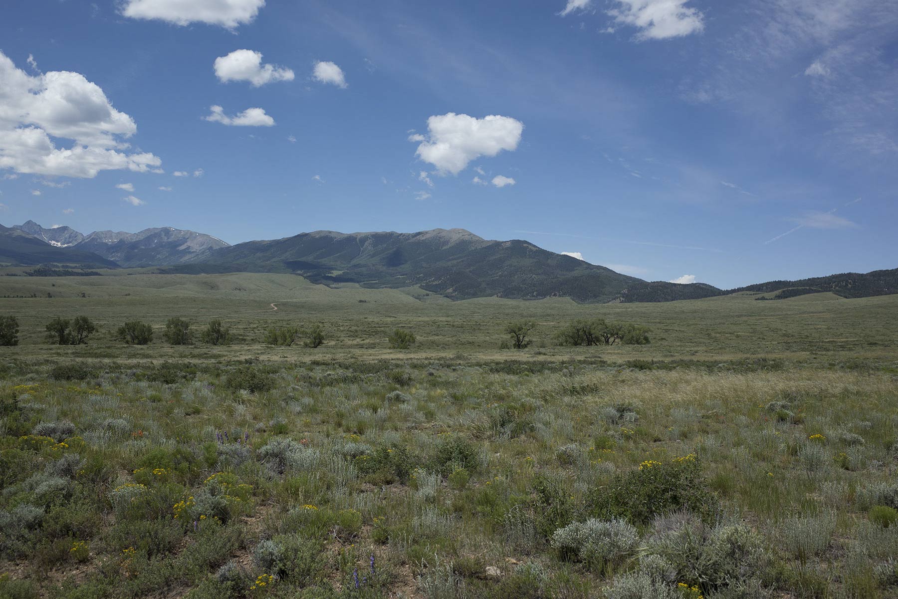 Mosca Pass Ranch property picture 32 of 84