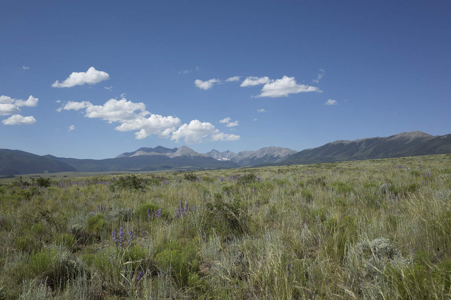 Mosca Pass Ranch property picture 50 of 84