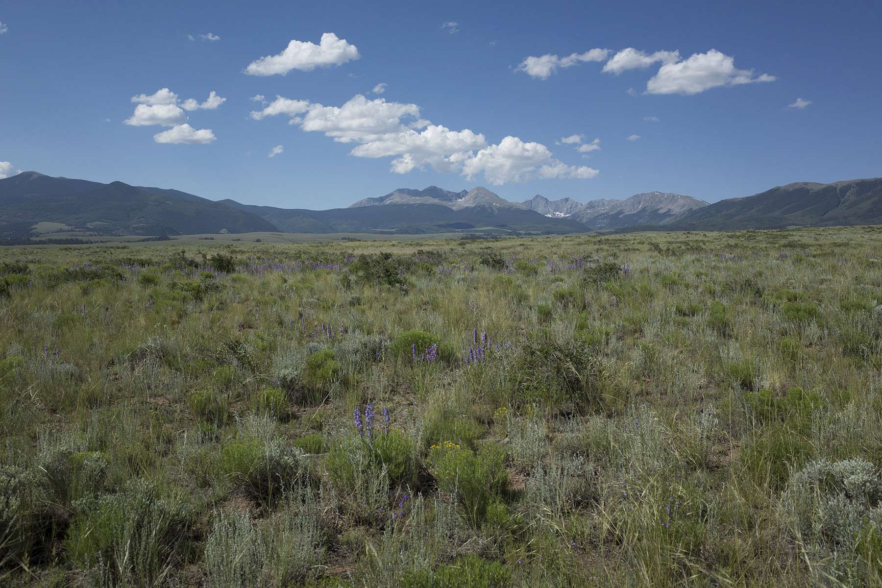Mosca Pass Ranch property picture 33 of 84