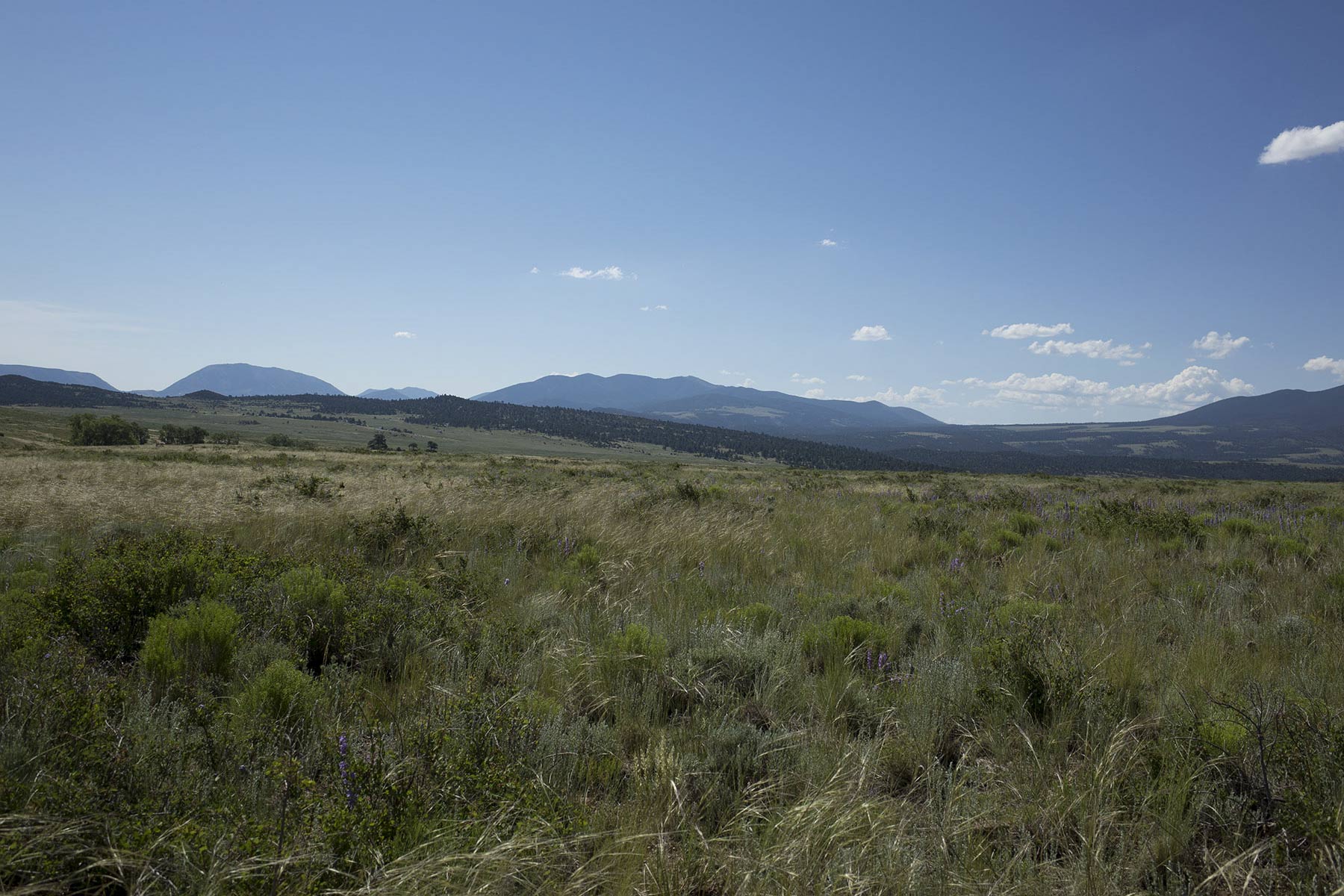Mosca Pass Ranch property picture 34 of 84