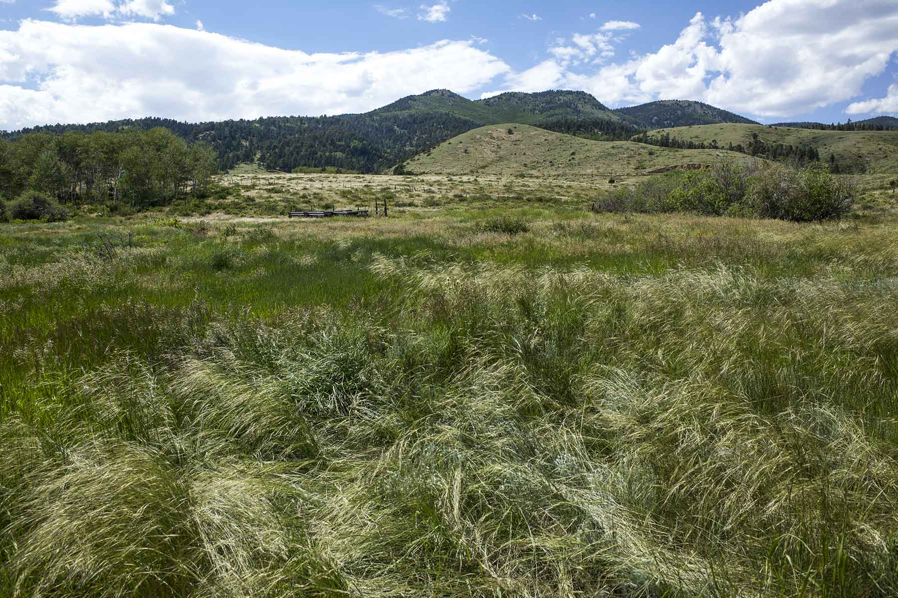 Mosca Pass Ranch property picture 62 of 84