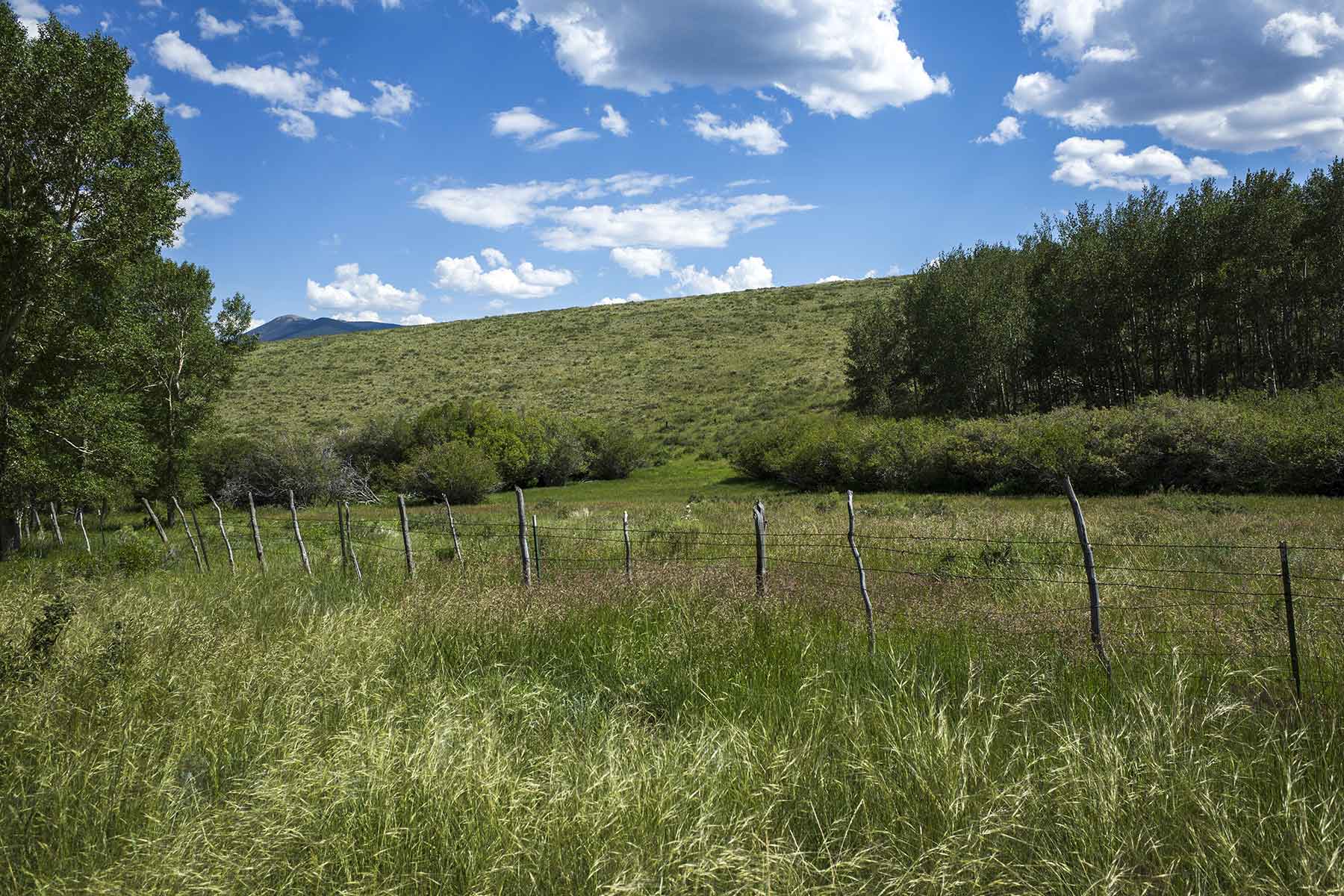 Mosca Pass Ranch property picture 63 of 84