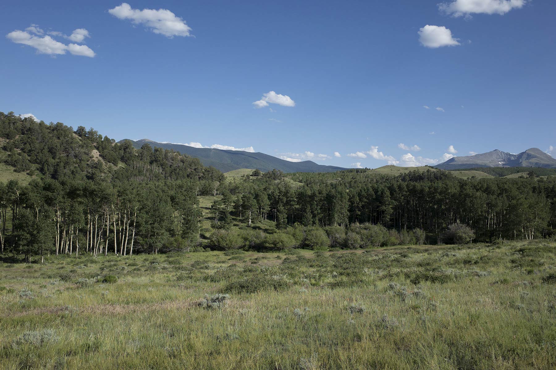 Mosca Pass Ranch property picture 25 of 84