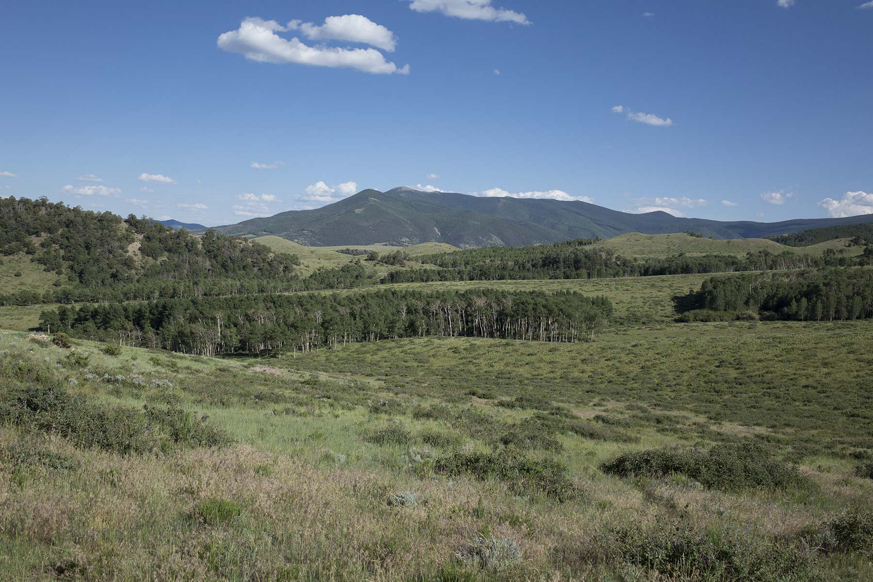 Mosca Pass Ranch property picture 35 of 84