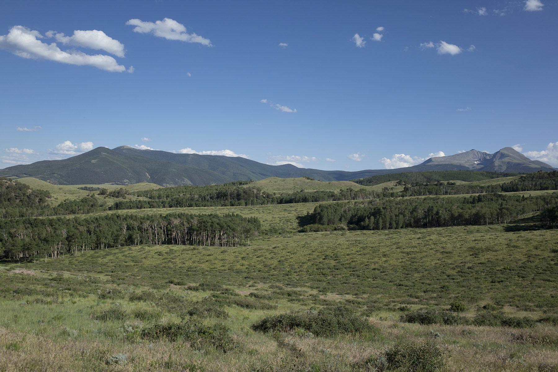 Mosca Pass Ranch property picture 49 of 84