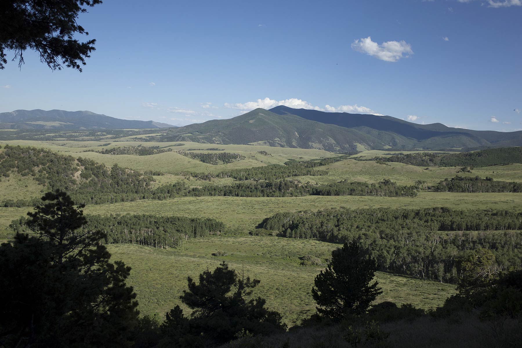 Mosca Pass Ranch property picture 37 of 84