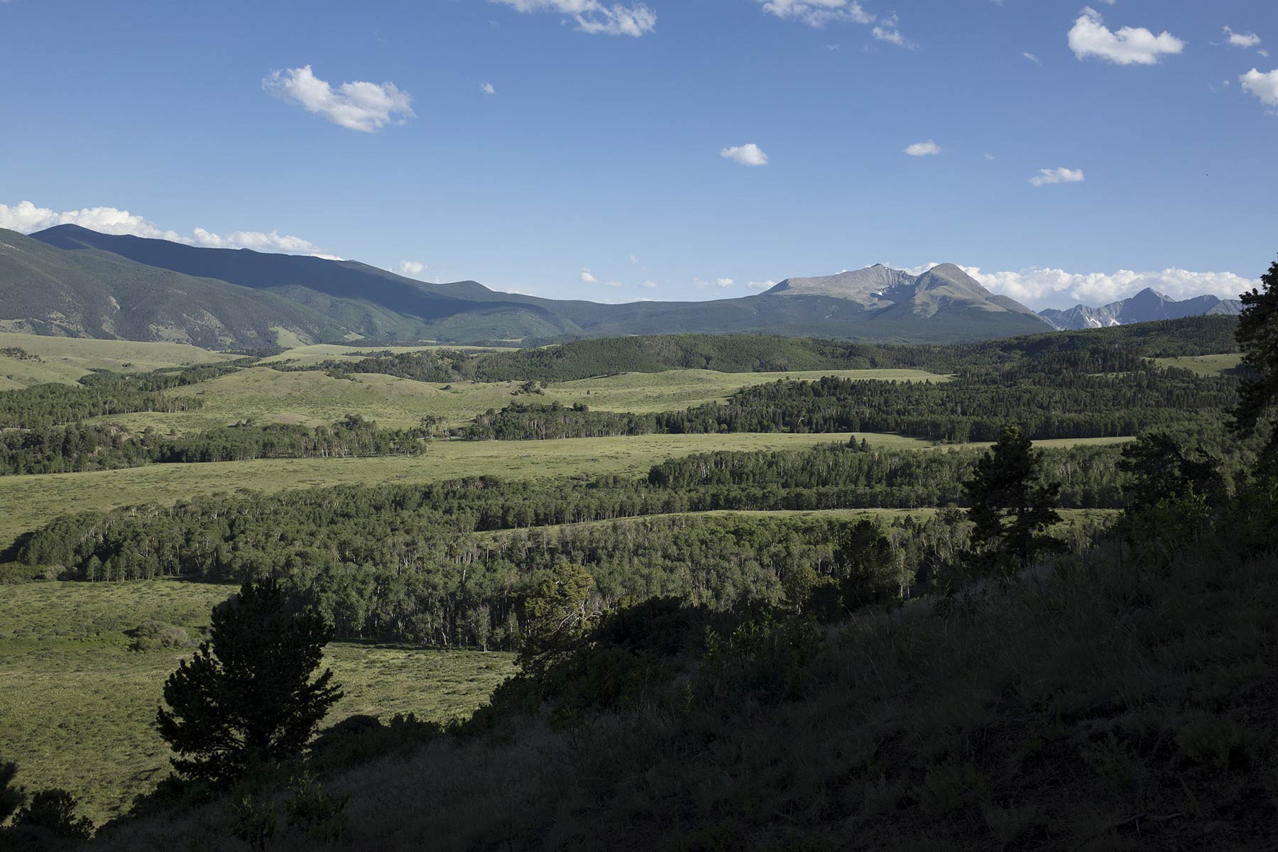 Mosca Pass Ranch property picture 31 of 84