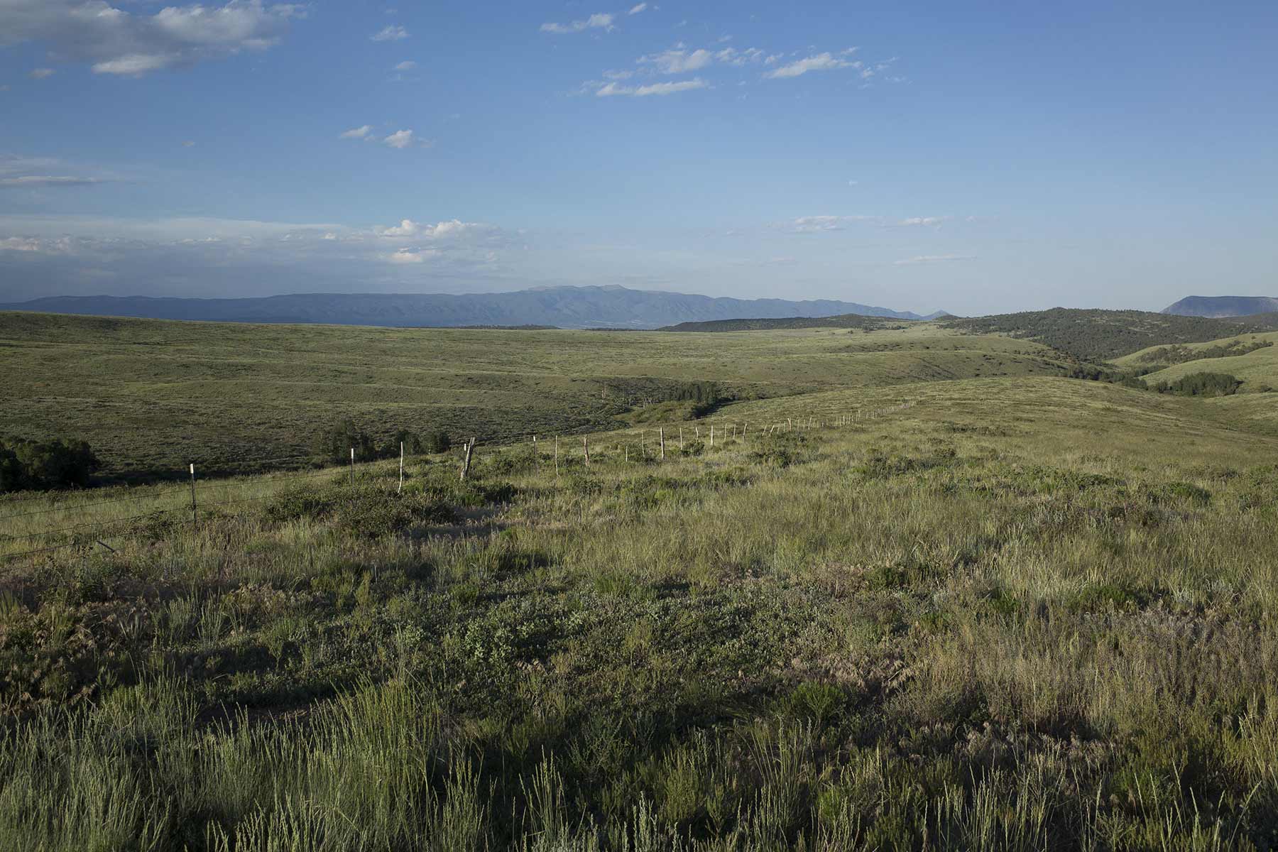 Mosca Pass Ranch property picture 39 of 84