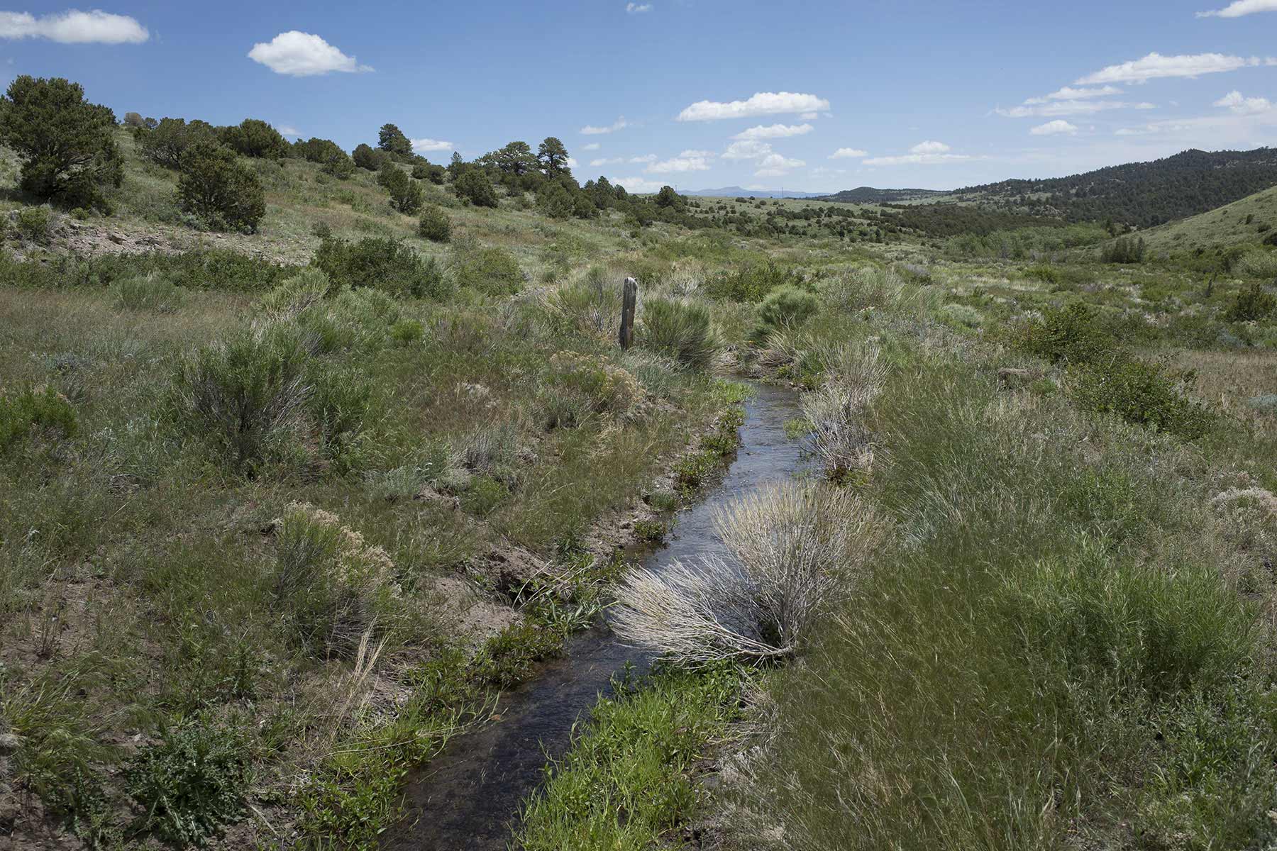 Mosca Pass Ranch property picture 28 of 84